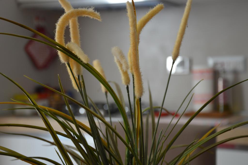 Luxury Apartment In Rattazzi Roma Dış mekan fotoğraf